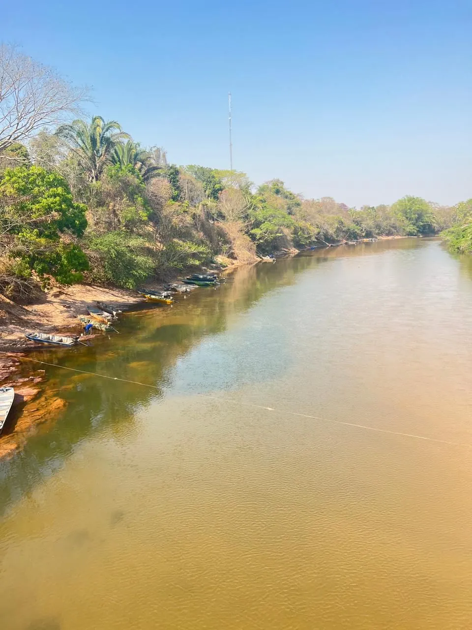 Fazenda à venda de 260 ha em Guiratinga, MT, Brasil