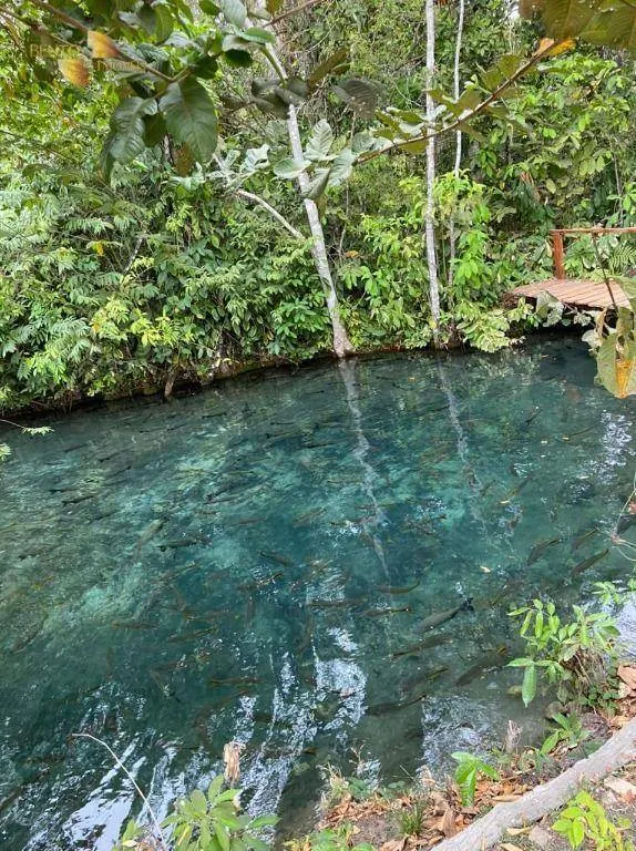 Farm for sale of 269 acres in Nobres, MT, Brazil