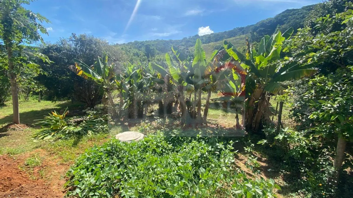 Small farm for sale of 30 acres in Taubaté, SP, Brazil