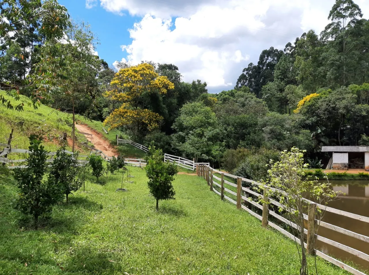 Sítio à venda de 73 ha em Ribeirão Branco, SP, Brasil