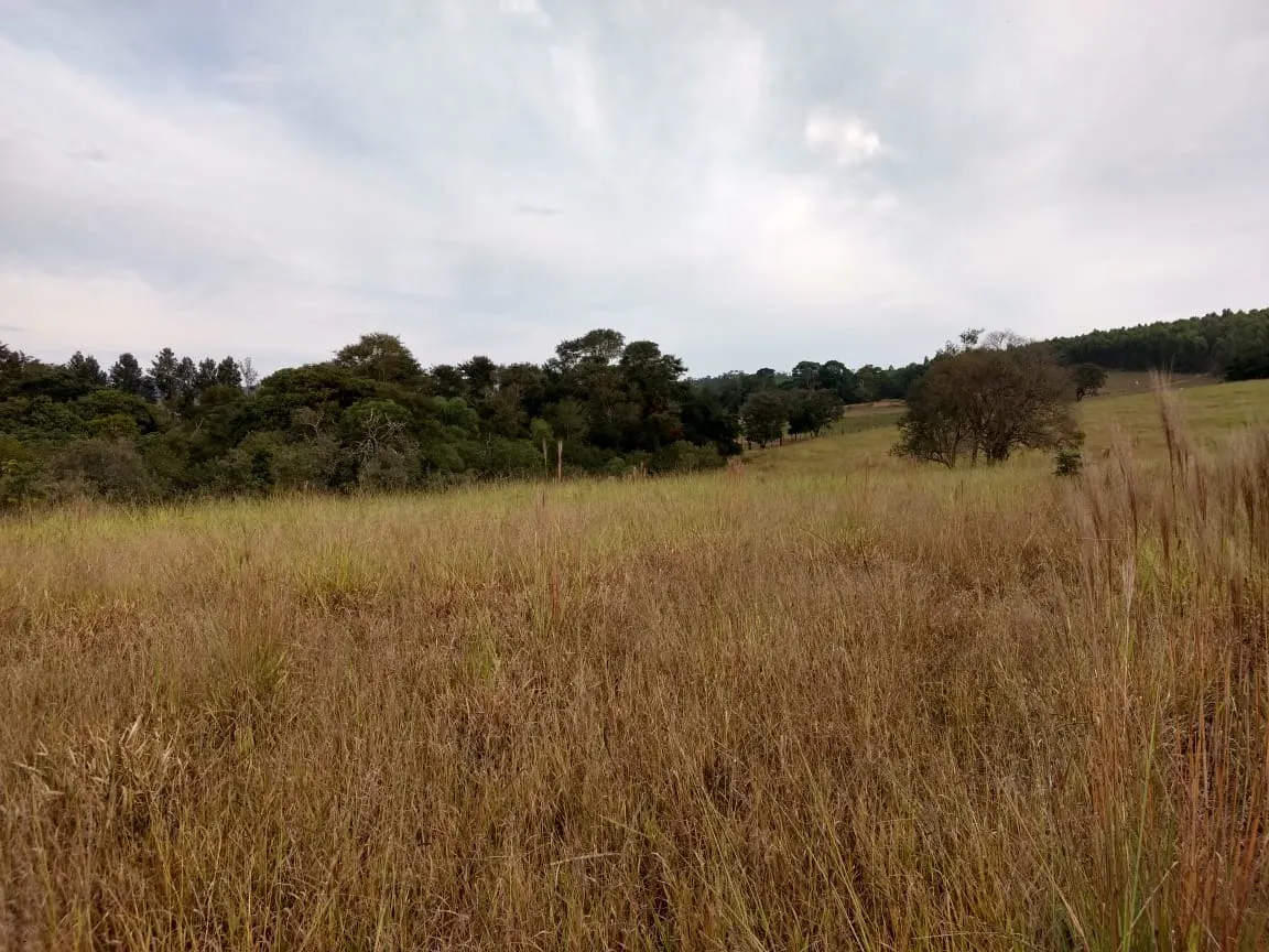 Small farm for sale of 70 acres in Pilar do Sul, SP, Brazil