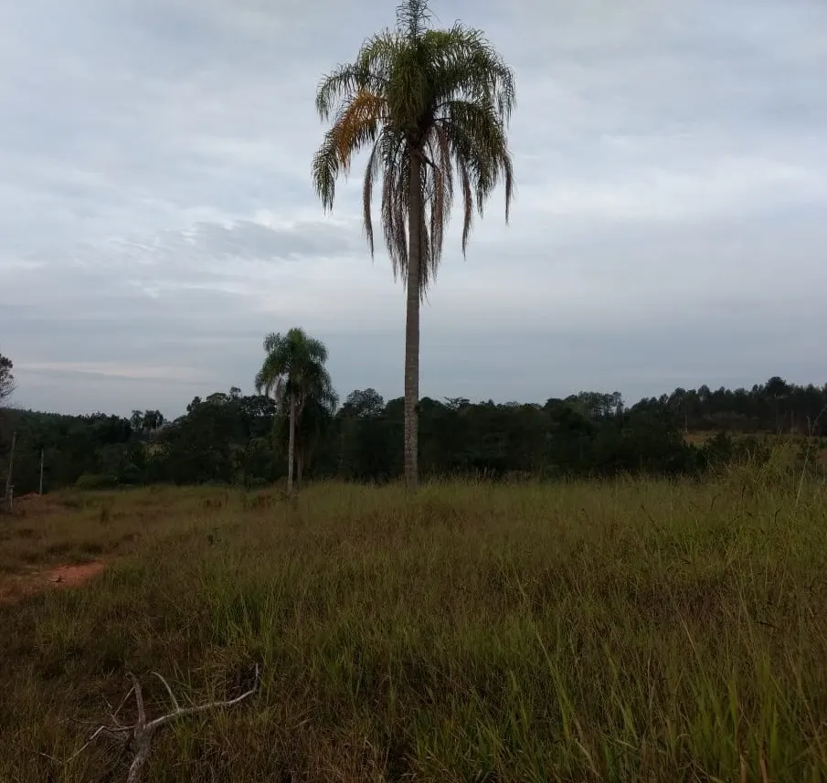 Small farm for sale of 70 acres in Pilar do Sul, SP, Brazil