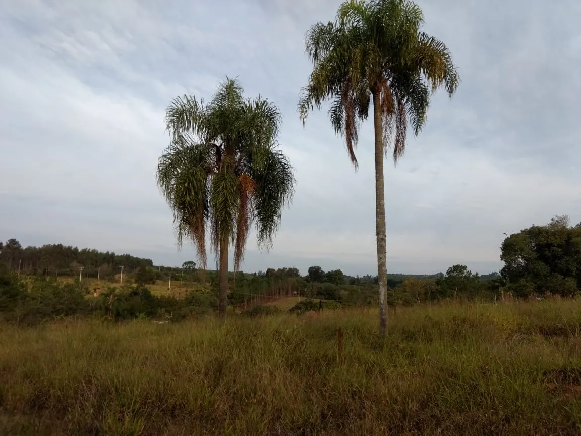 Small farm for sale of 70 acres in Pilar do Sul, SP, Brazil