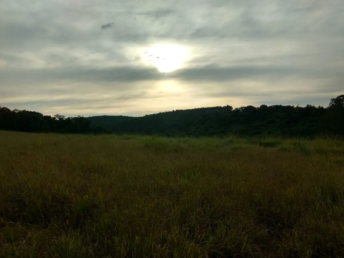 Small farm for sale of 70 acres in Pilar do Sul, SP, Brazil