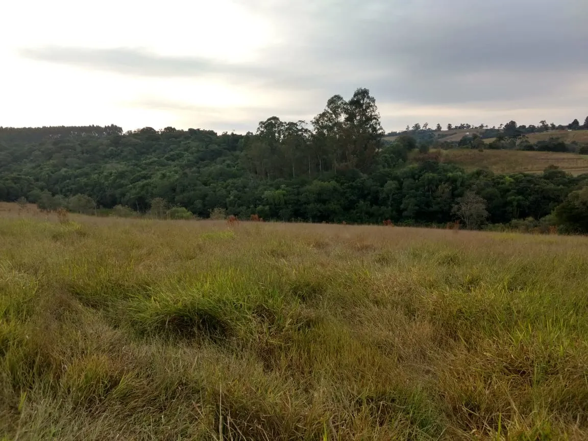 Small farm for sale of 70 acres in Pilar do Sul, SP, Brazil