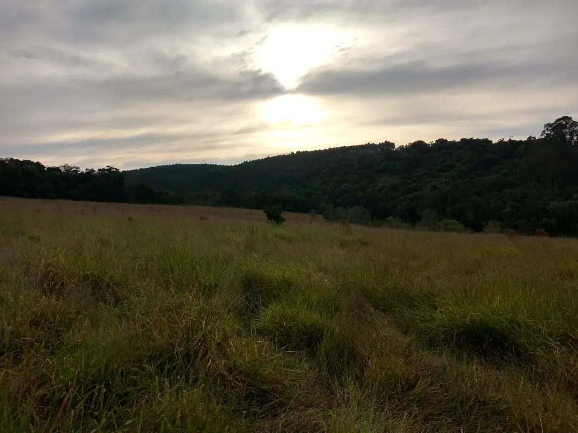Small farm for sale of 70 acres in Pilar do Sul, SP, Brazil