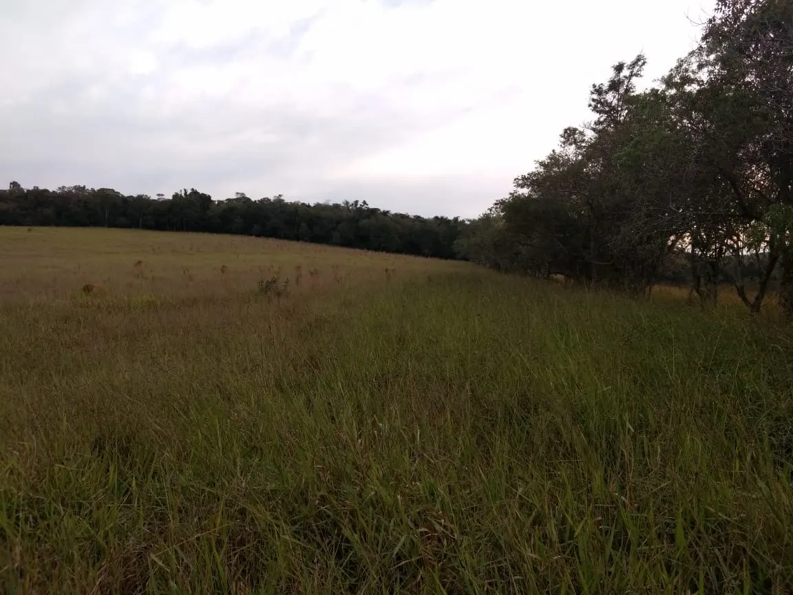 Small farm for sale of 70 acres in Pilar do Sul, SP, Brazil