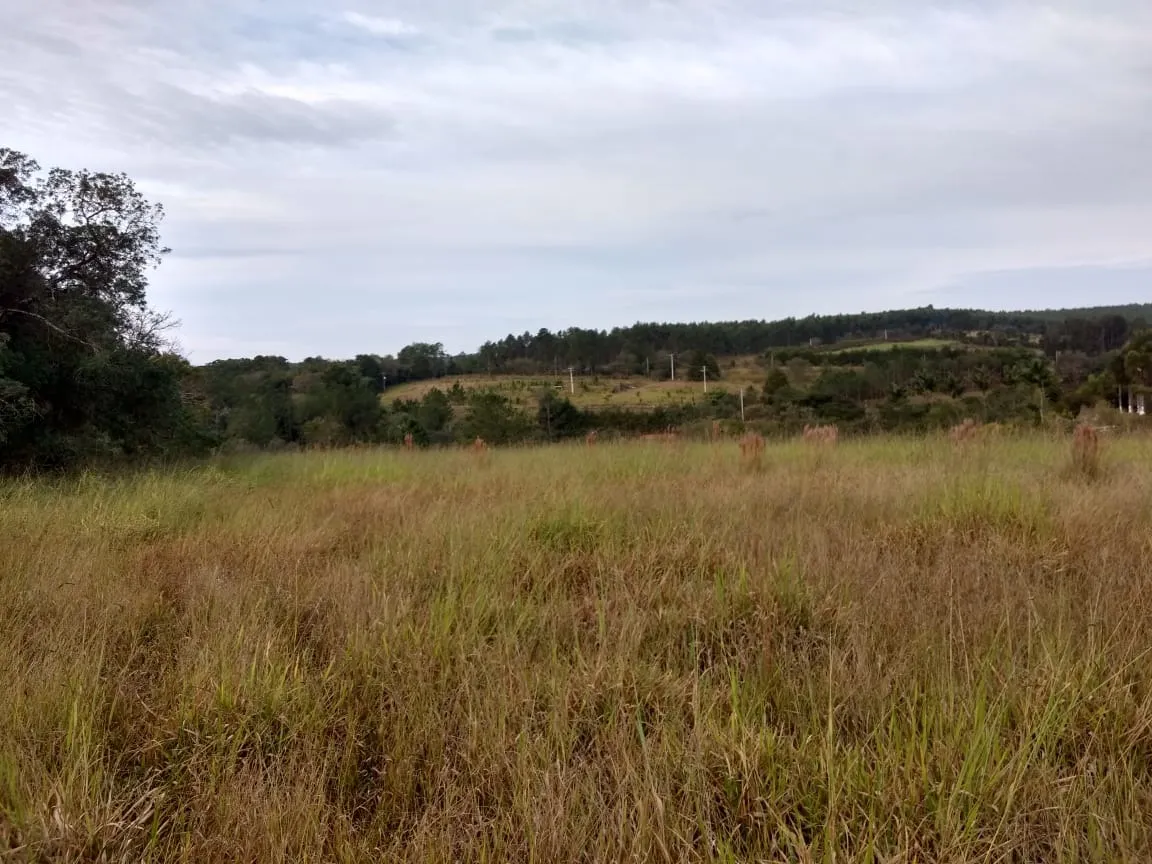 Small farm for sale of 70 acres in Pilar do Sul, SP, Brazil
