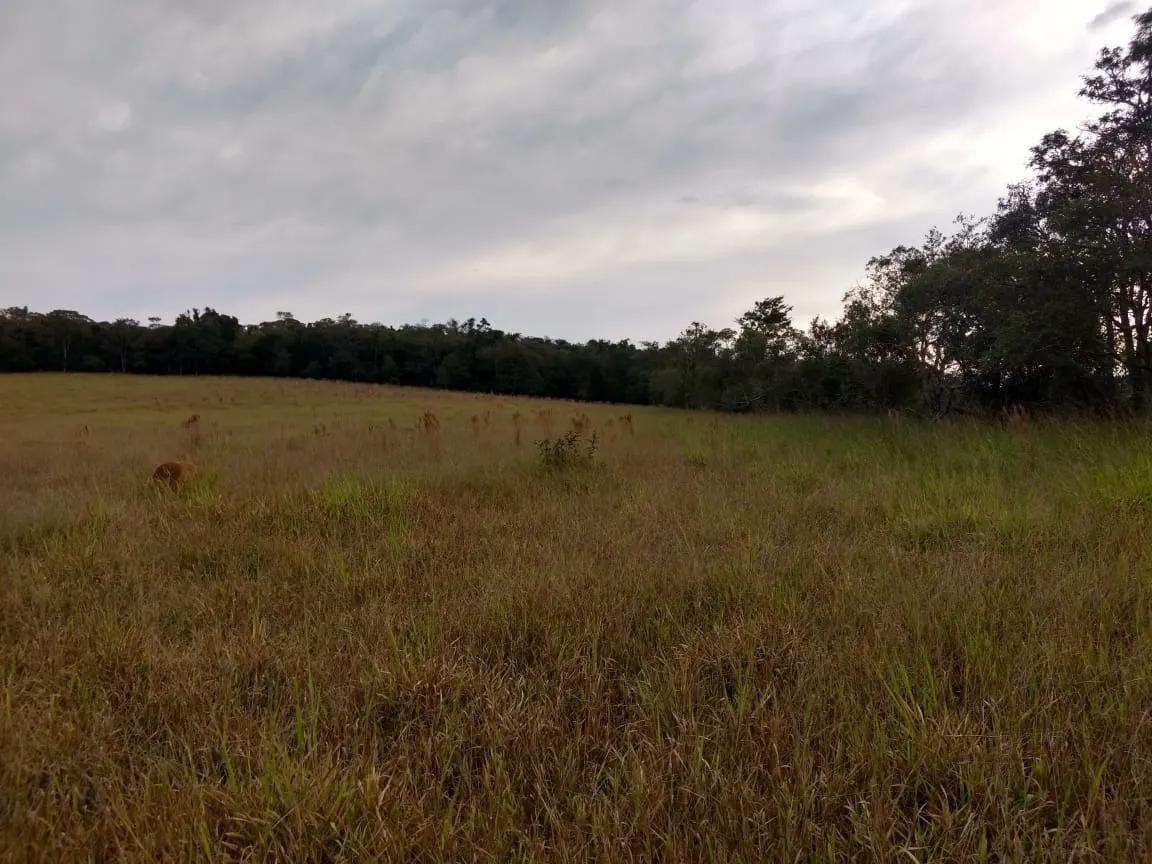 Small farm for sale of 70 acres in Pilar do Sul, SP, Brazil