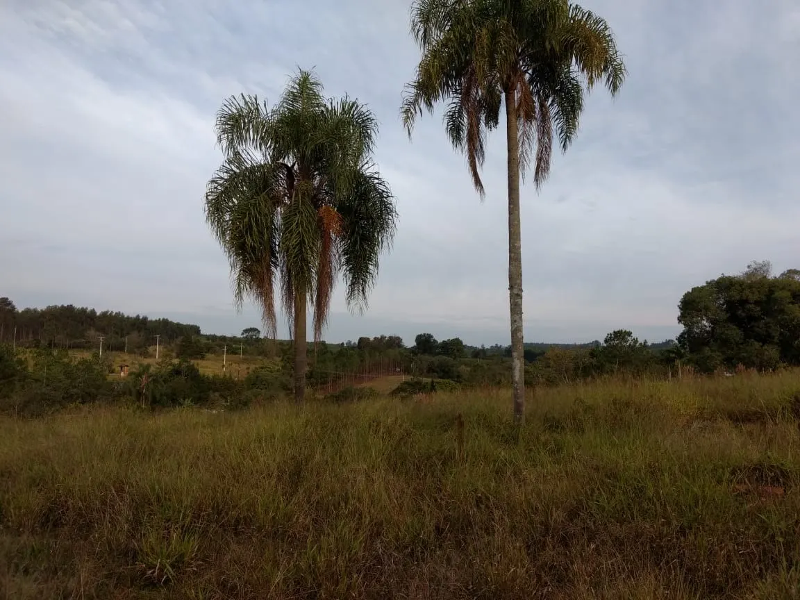 Small farm for sale of 70 acres in Pilar do Sul, SP, Brazil