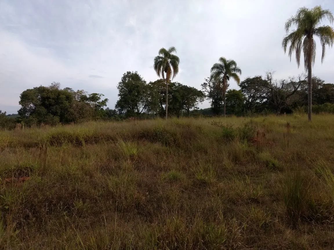 Small farm for sale of 70 acres in Pilar do Sul, SP, Brazil
