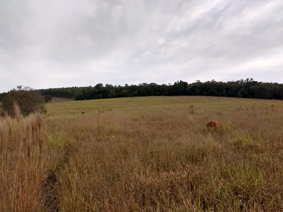 Small farm for sale of 70 acres in Pilar do Sul, SP, Brazil