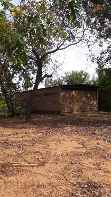 Fazenda à venda de 910 ha em São Francisco do Maranhão, MA, Brasil