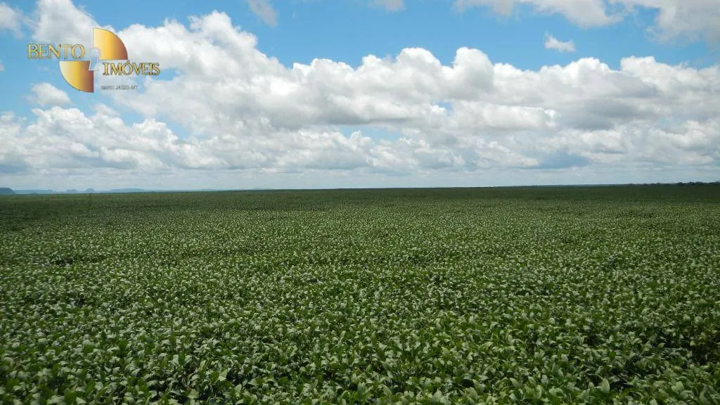 Fazenda à venda de 910 ha em São Francisco do Maranhão, MA, Brasil