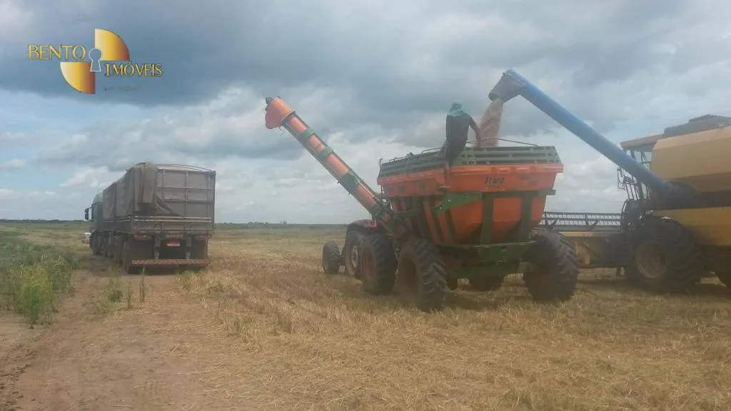 Fazenda à venda de 910 ha em São Francisco do Maranhão, MA, Brasil