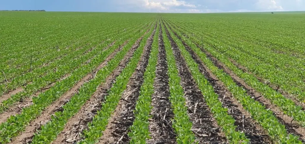 Fazenda à venda de 4.800 ha em Nova Maringá, MT, Brasil