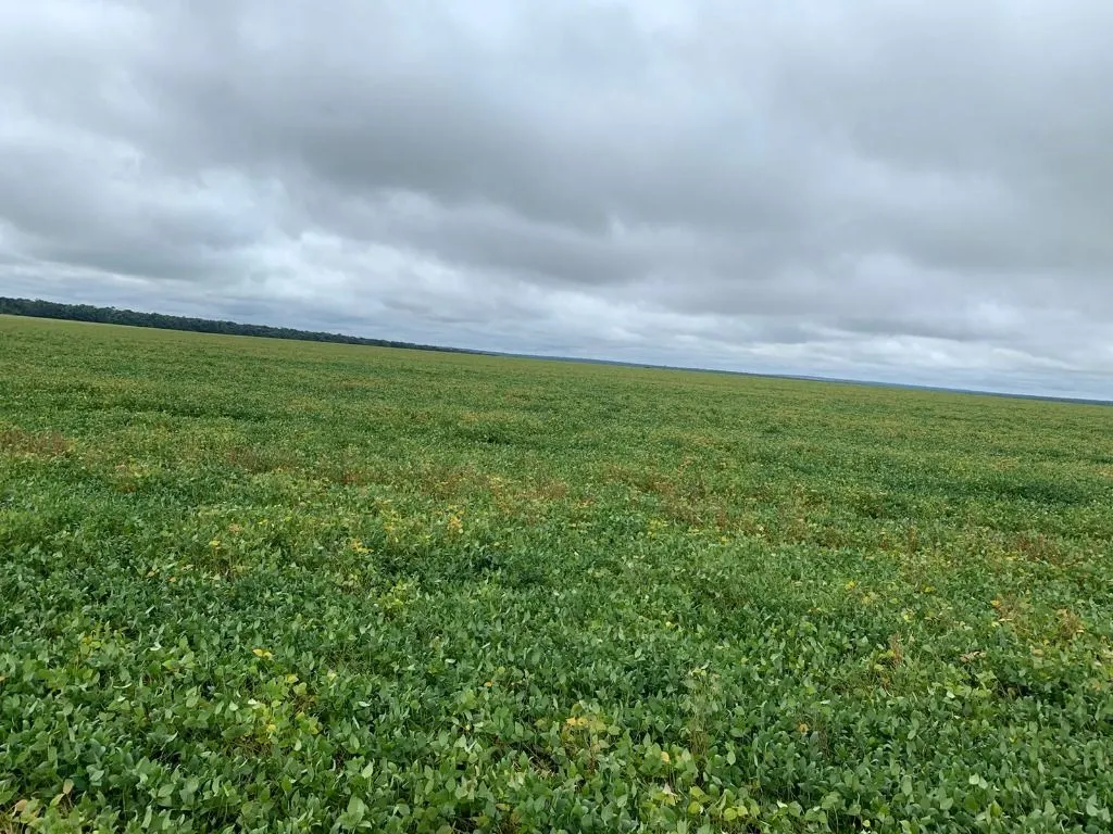 Fazenda à venda de 4.800 ha em Nova Maringá, MT, Brasil