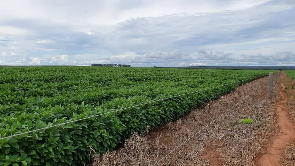Fazenda à venda de 4.800 ha em Nova Maringá, MT, Brasil