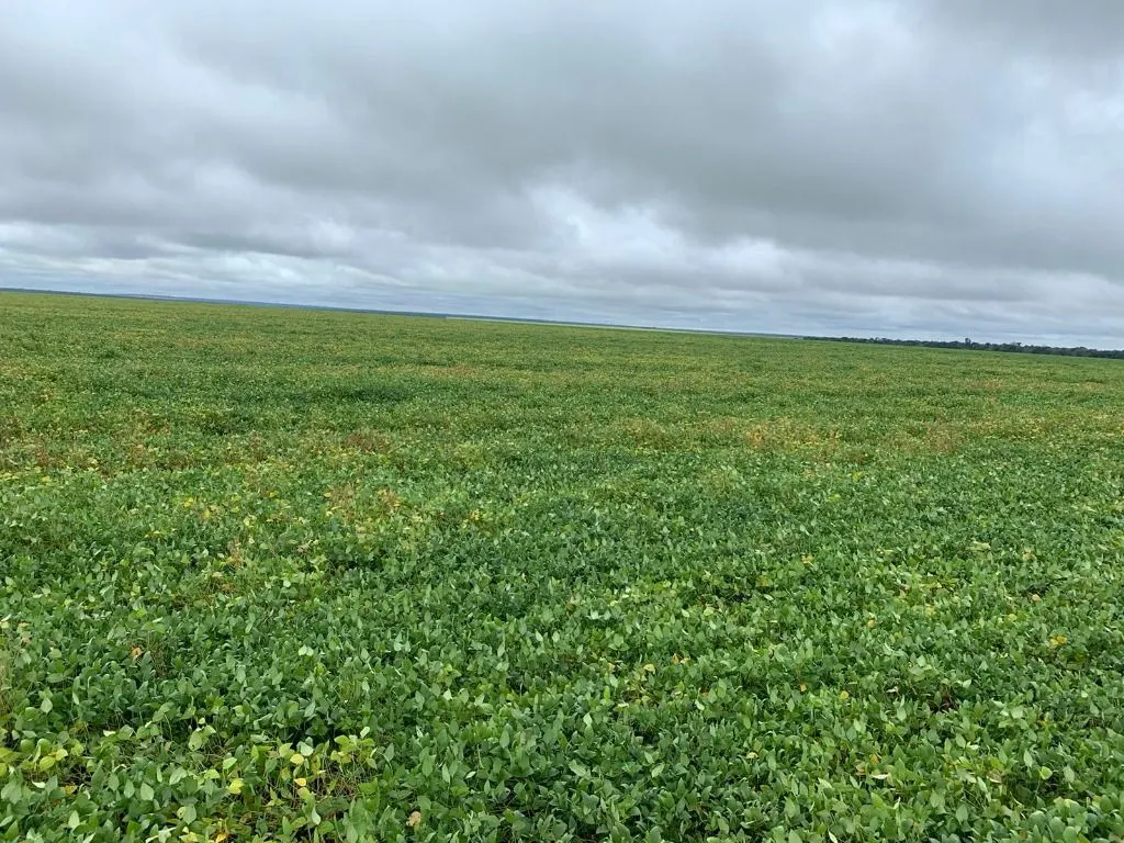 Fazenda à venda de 4.800 ha em Nova Maringá, MT, Brasil