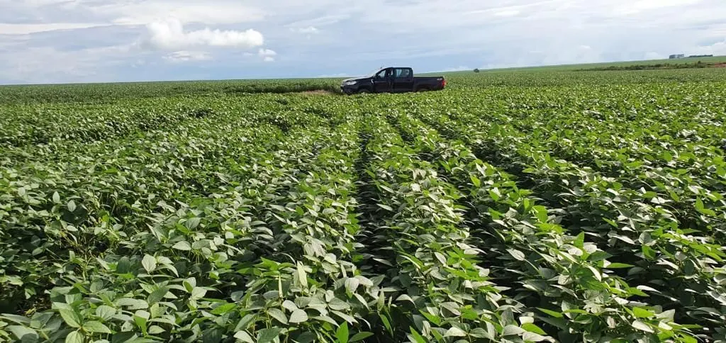 Fazenda à venda de 4.800 ha em Nova Maringá, MT, Brasil