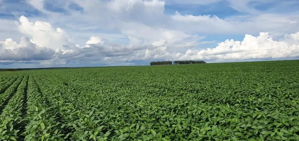Fazenda à venda de 4.800 ha em Nova Maringá, MT, Brasil