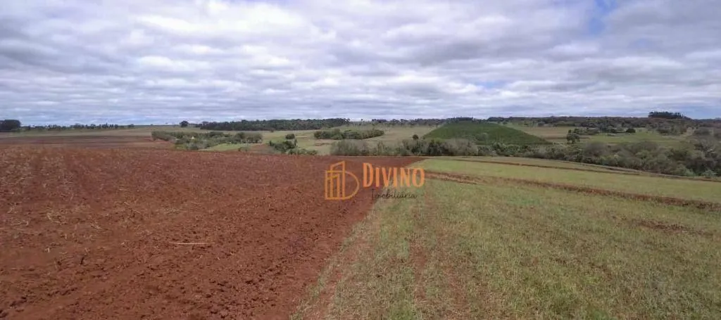 Fazenda à venda de 97 ha em Avaré, SP, Brasil