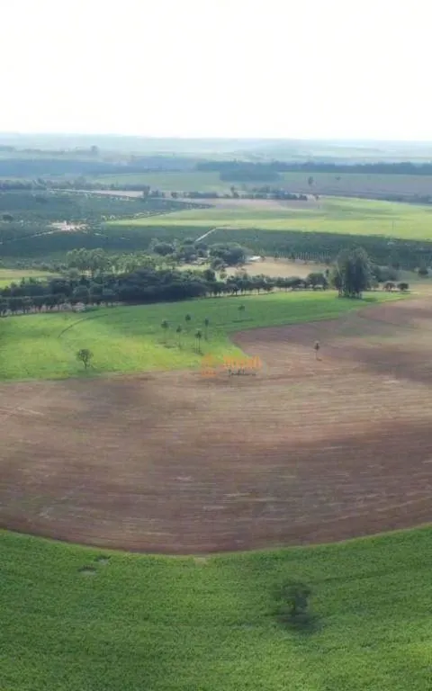 Fazenda à venda de 97 ha em Avaré, SP, Brasil