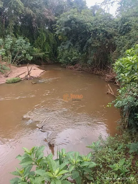 Fazenda à venda de 97 ha em Avaré, SP, Brasil
