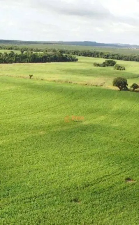 Fazenda à venda de 97 ha em Avaré, SP, Brasil