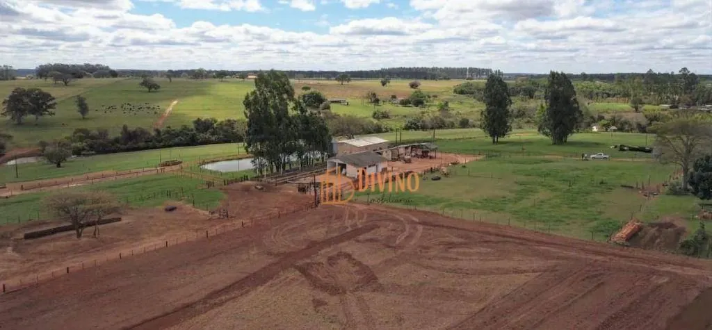 Fazenda à venda de 97 ha em Avaré, SP, Brasil
