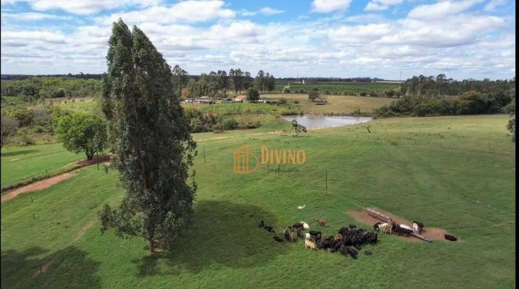 Fazenda à venda de 97 ha em Avaré, SP, Brasil