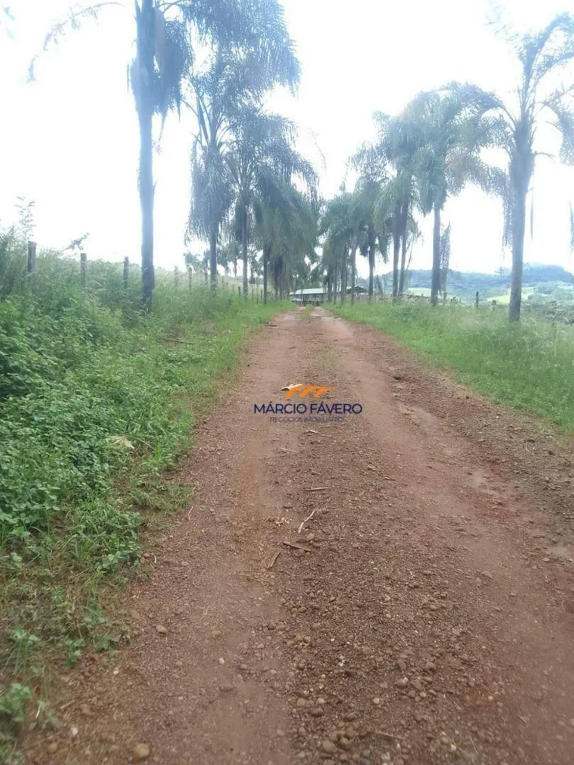 Fazenda à venda de 102 ha em Cássia dos Coqueiros, SP, Brasil