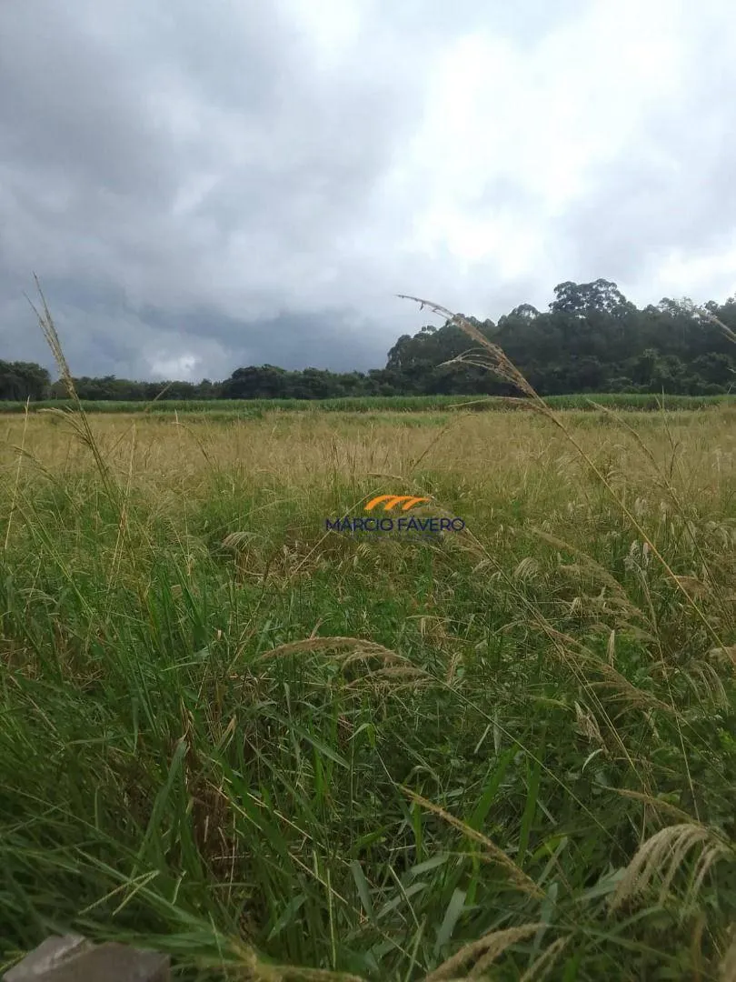 Fazenda à venda de 102 ha em Cássia dos Coqueiros, SP, Brasil