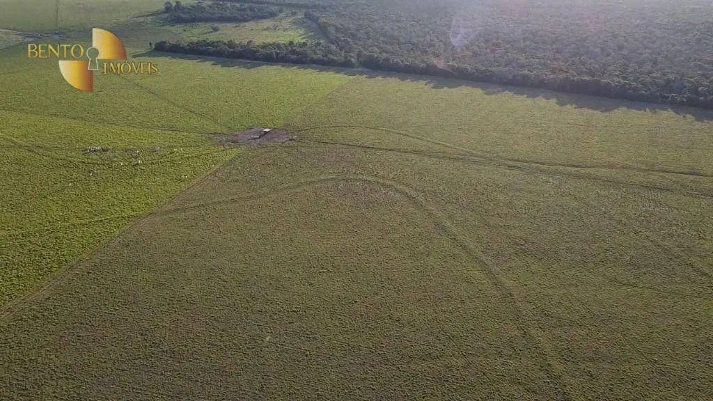 Fazenda à venda de 730 ha em São José do Rio Claro, MT, Brasil