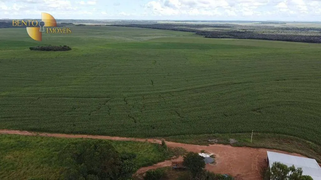 Fazenda à venda de 730 ha em São José do Rio Claro, MT, Brasil