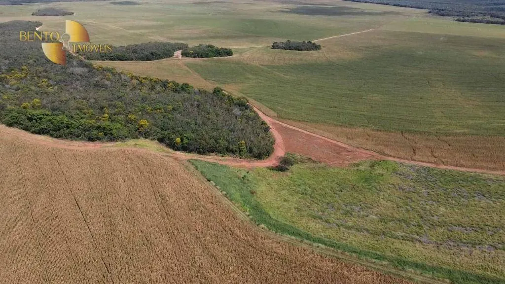 Fazenda à venda de 730 ha em São José do Rio Claro, MT, Brasil