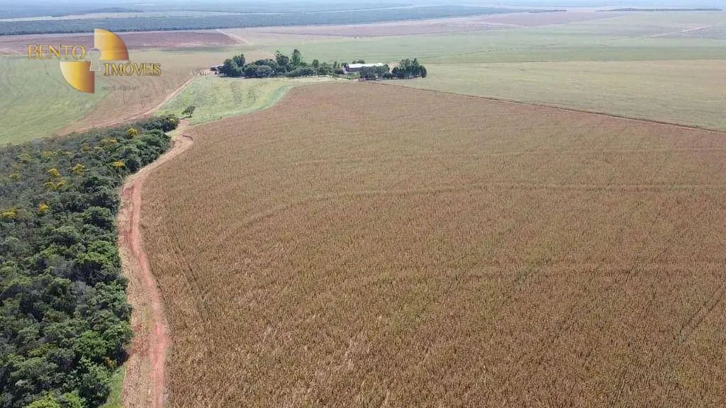 Fazenda à venda de 730 ha em São José do Rio Claro, MT, Brasil