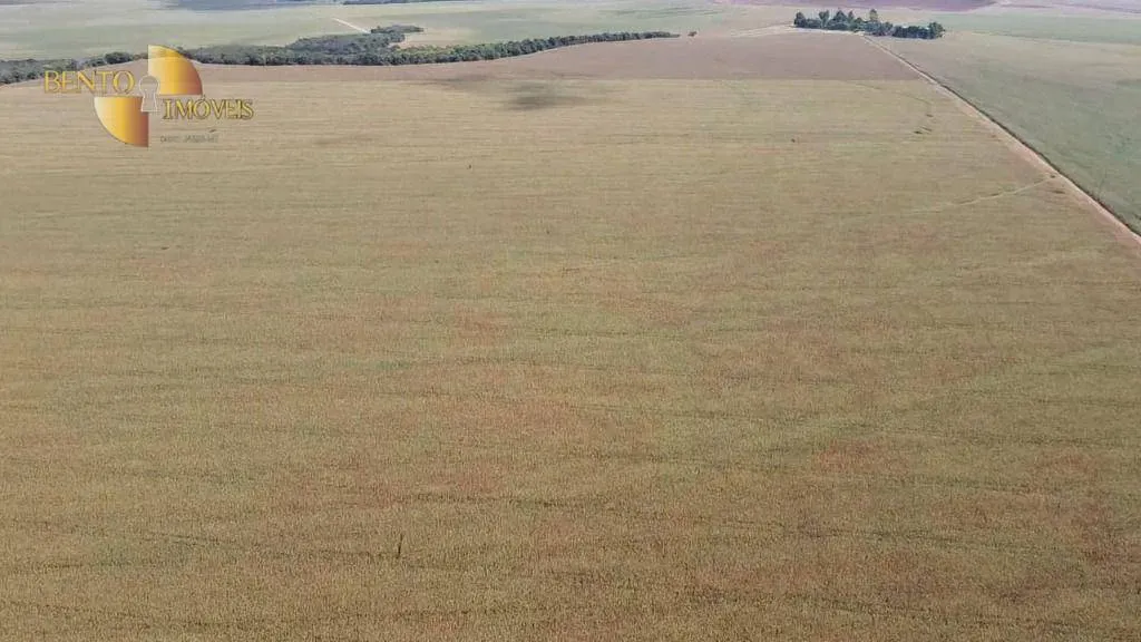 Fazenda à venda de 730 ha em São José do Rio Claro, MT, Brasil