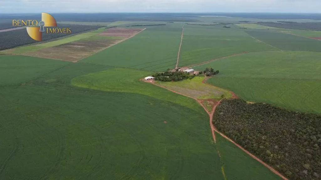 Fazenda à venda de 730 ha em São José do Rio Claro, MT, Brasil