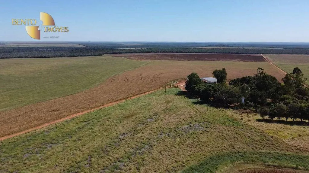 Fazenda à venda de 730 ha em São José do Rio Claro, MT, Brasil