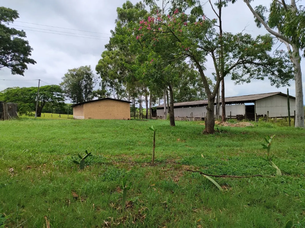 Fazenda à venda de 22 ha em Pereiras, SP, Brasil