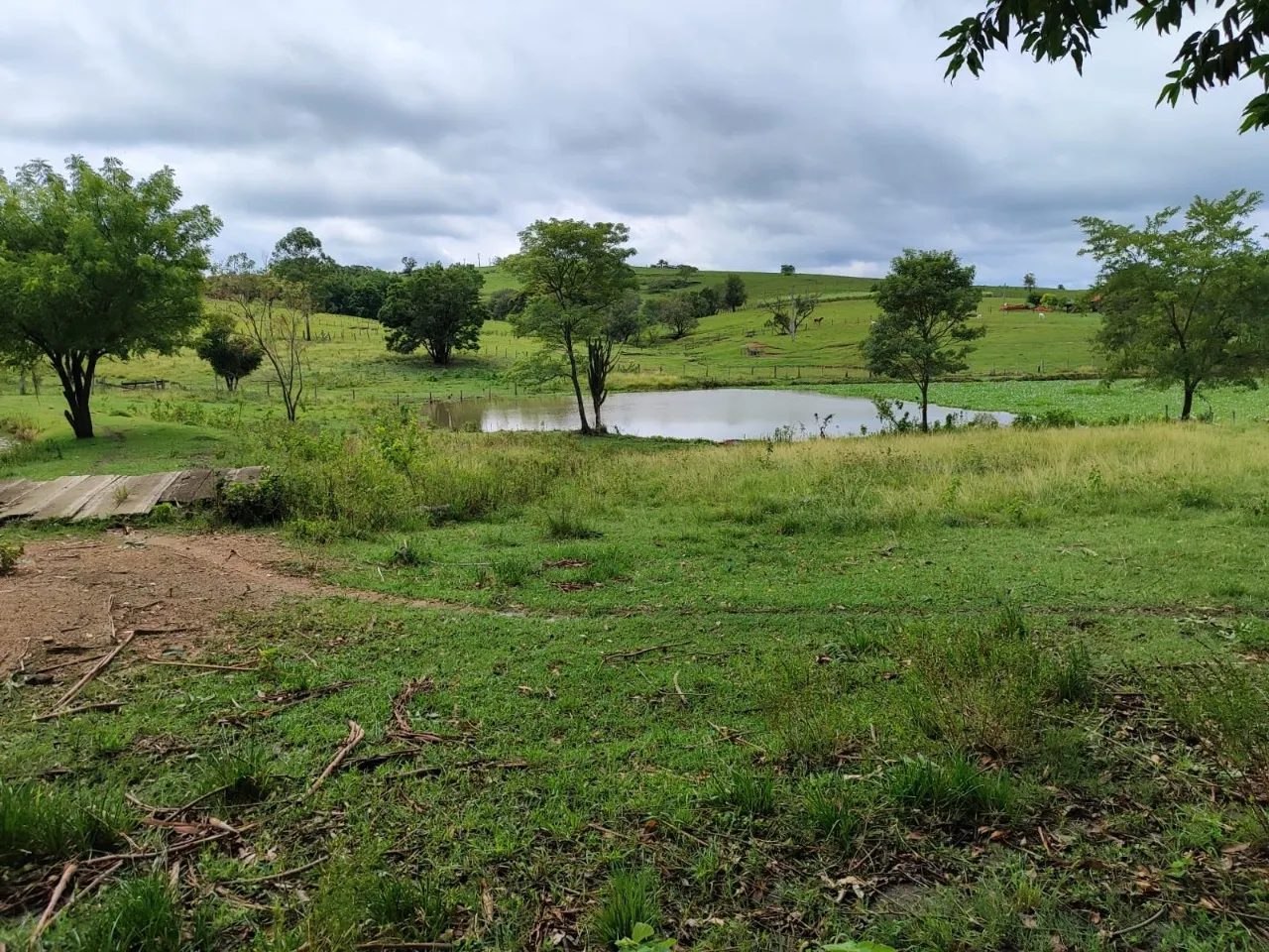 Fazenda à venda de 22 ha em Pereiras, SP, Brasil