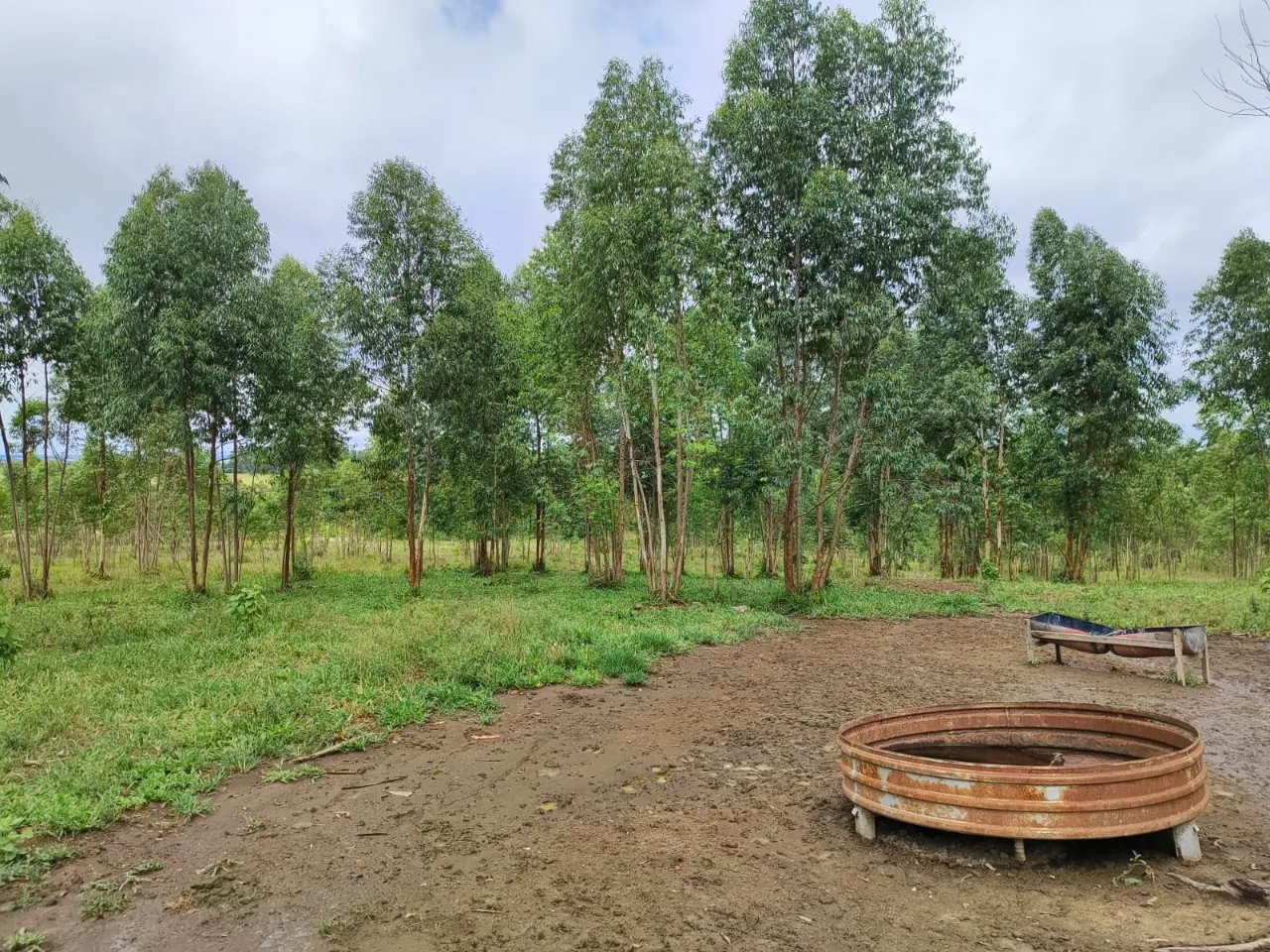 Fazenda à venda de 22 ha em Pereiras, SP, Brasil
