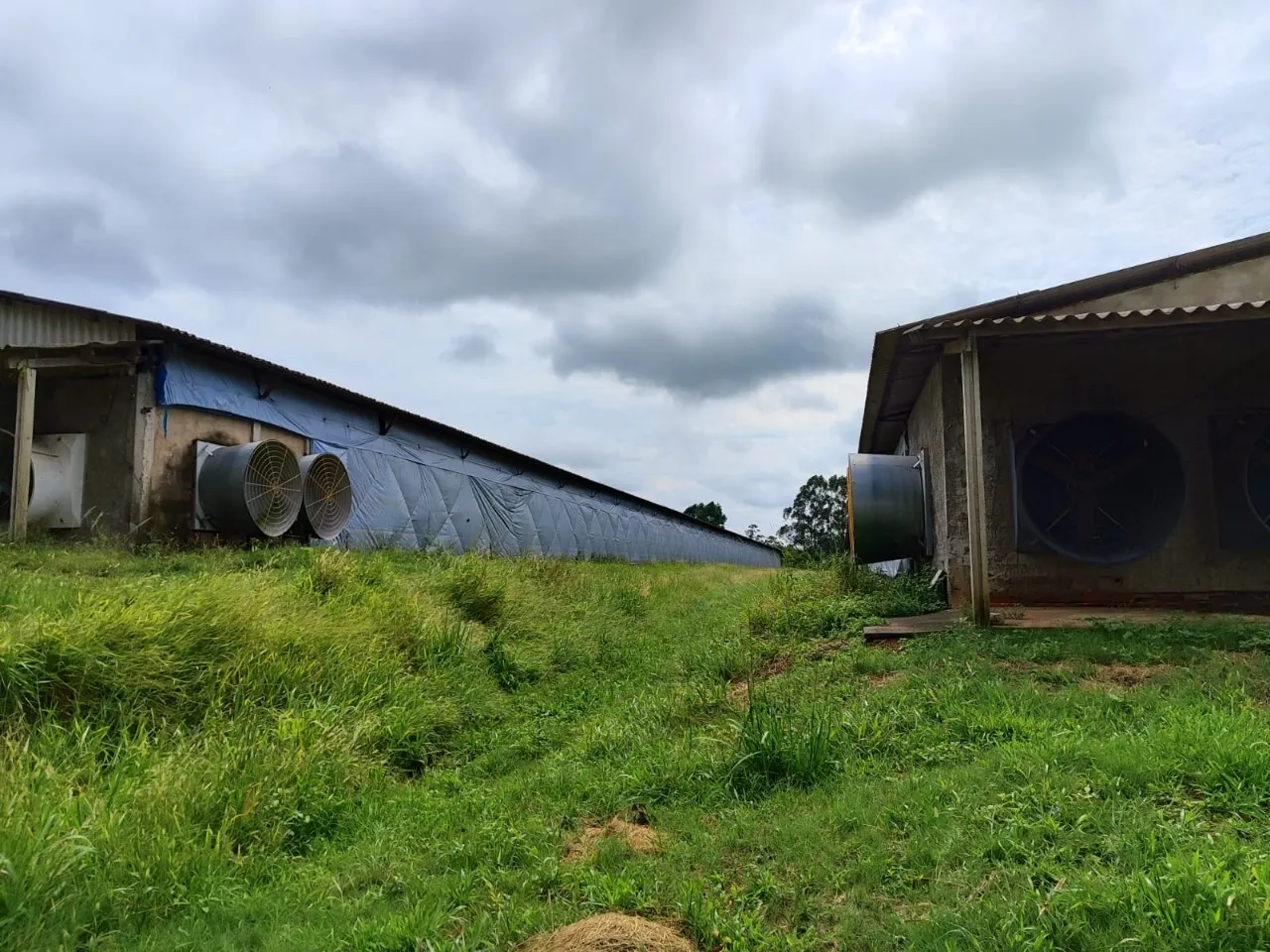 Fazenda à venda de 22 ha em Pereiras, SP, Brasil