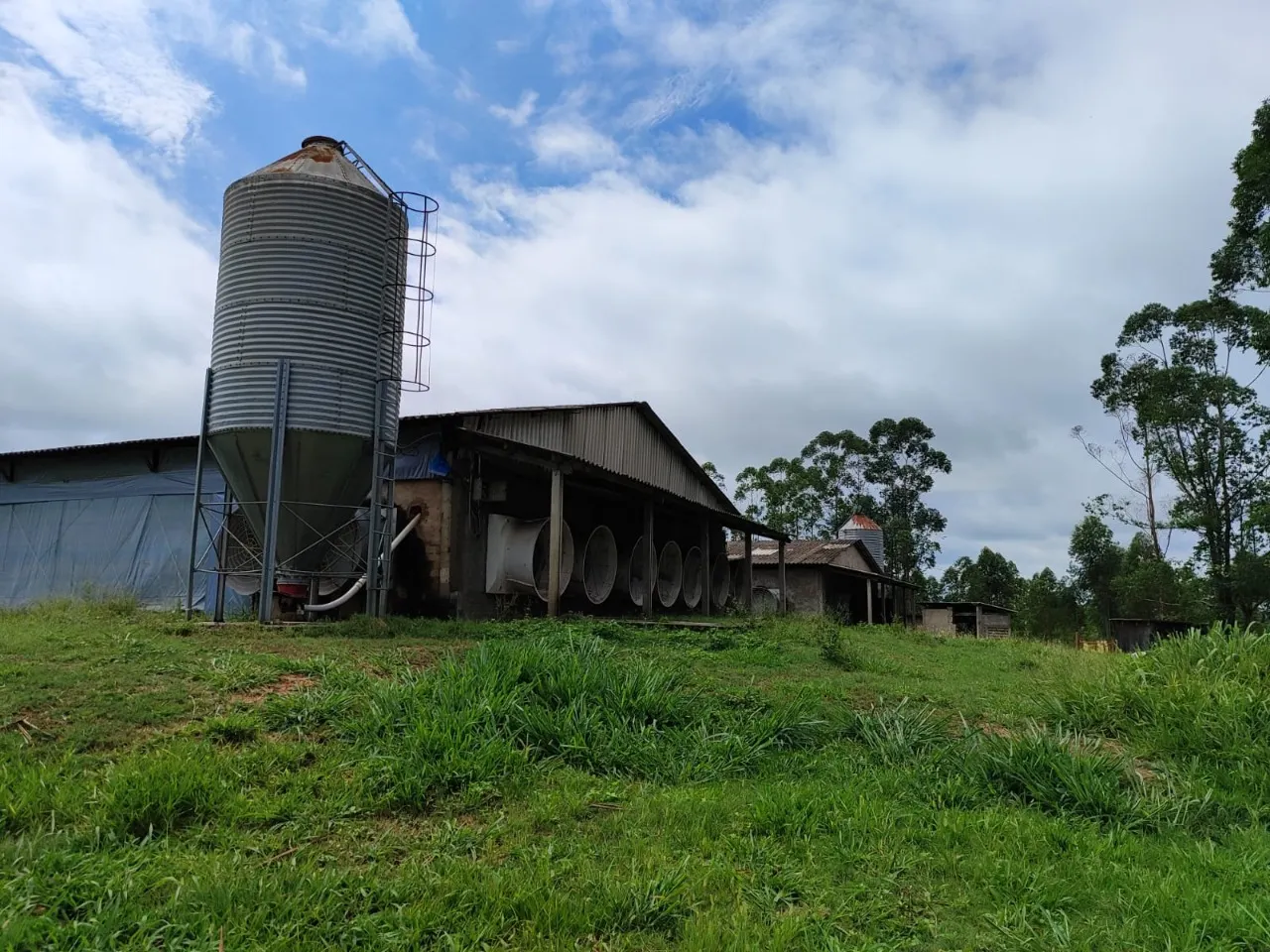 Fazenda à venda de 22 ha em Pereiras, SP, Brasil