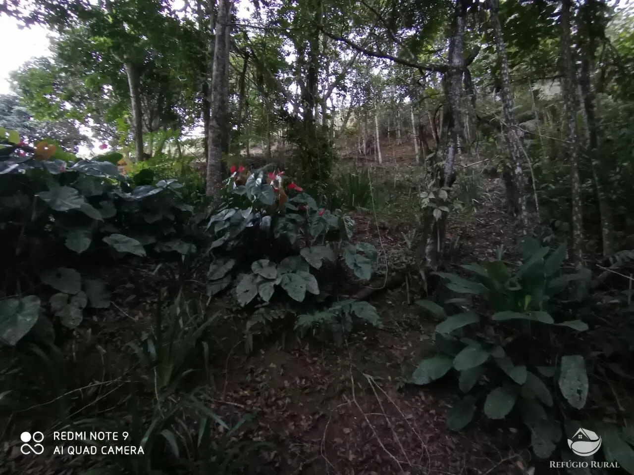 Small farm for sale of 47 acres in São José dos Campos, SP, Brazil
