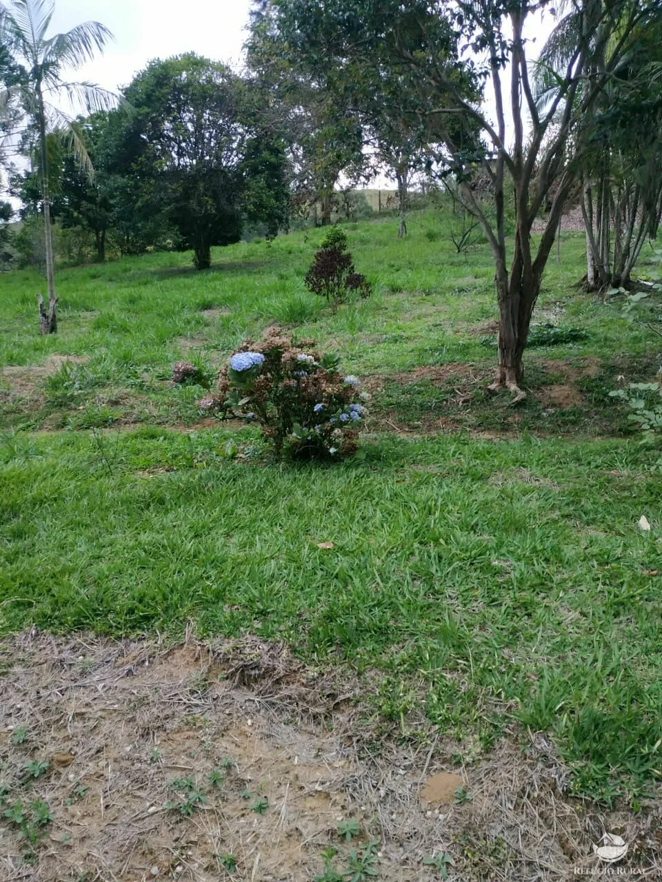 Small farm for sale of 47 acres in São José dos Campos, SP, Brazil