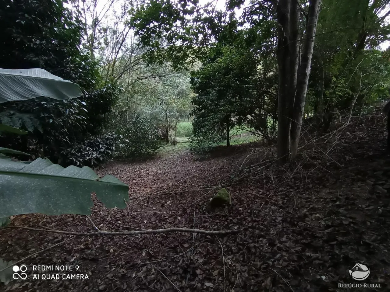 Small farm for sale of 47 acres in São José dos Campos, SP, Brazil