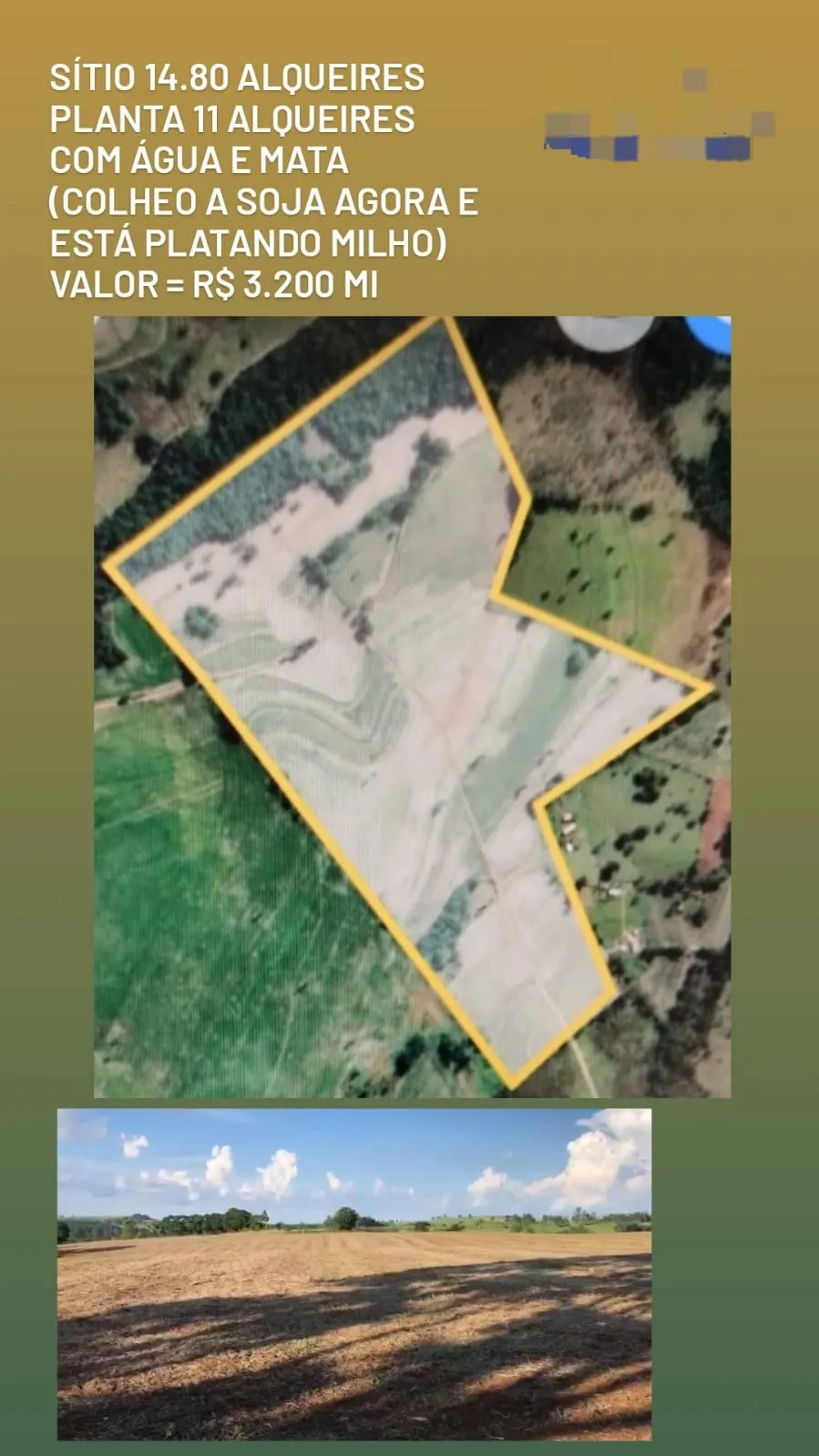 Sítio à venda de 36 ha em Itapetininga, SP, Brasil