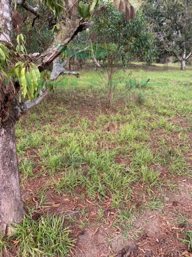 Terreno à venda de 2.000 m² em Mairinque, SP, Brasil